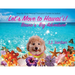 Let's Move to Hawai'i!: Bruno's Big Adventure