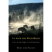 To Save the Wild Bison: Life on the Edge of Yellowstone