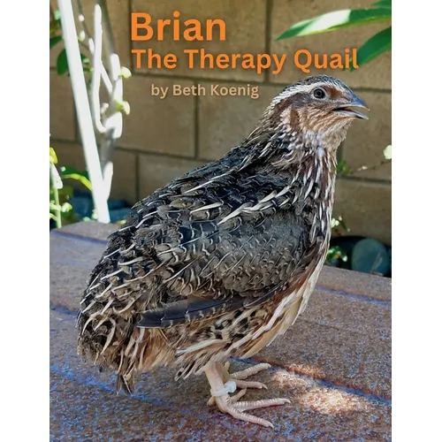 Brian The Therapy Quail
