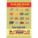 Sujok Seed Healing: Wonders of seeds