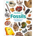 My Book of Fossils: A Fact-Filled Guide to Prehistoric Life