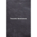 Trauma Workbook: Self help worksheets with techniques, tools and activities for healing traumatic experiences in adults, youth, teens and kids.