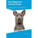 Thai Ridgeback Training Guide Thai Ridgeback Training Includes: Thai Ridgeback Tricks, Socializing, Housetraining, Agility, Obedience, Behavioral Trai