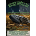 Ultimate Guide to the Roswell UFO Crash: A Tour of Roswell's UFO Landmarks