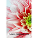 Flower Pressing Book: Pick, Press, Paste and Write Information About the Garden Blooms