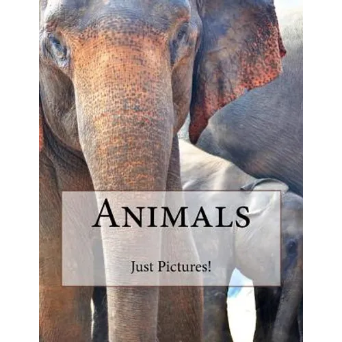Animals
