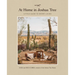 At Home in Joshua Tree: A Field Guide to Desert Living