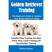 Golden Retriever Training: The Beginner's Guide to Training Your Golden Retriever Puppy: Includes Potty Training, Sit, Stay, Fetch, Drop, Leash Traini