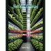 Vertical Farming