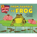 From Tadpole to Frog
