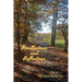 Recollections and Reflections