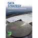 Data Strategy: From Definition to Execution