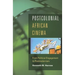 Postcolonial African Cinema: From Political Engagement to Postmodernism