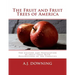 The Fruit and Fruit Trees of America: The Culture and Propagation of Fruit Trees With Descriptions of the Varieties