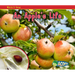An Apple's Life