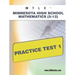 Mtle Minnesota High School Mathematics (5-12) Practice Test 1