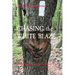 CHASING the WHITE BLAZE: Thru Hiking the Appalachian Trail