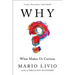 Why?: What Makes Us Curious