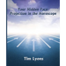 Your Hidden Face: Projection in the Horoscope