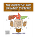 The Digestive and Urinary Systems