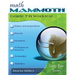 Math Mammoth Grade 7-B Worktext