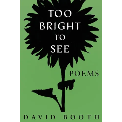 Too Bright to See