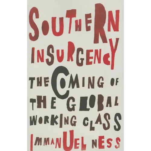 Southern Insurgency: The Coming of the Global Working Class