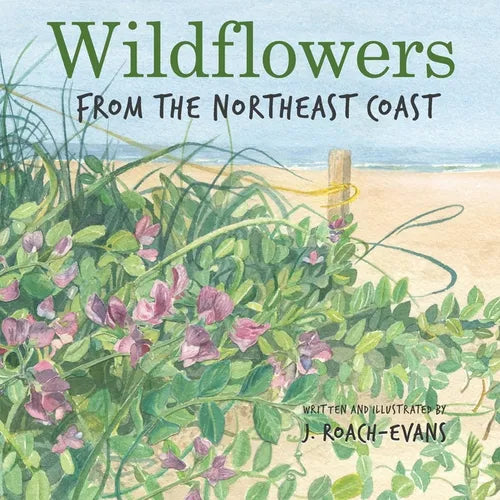Wildflowers: from the Northeast Coast