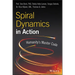 Spiral Dynamics in Action: Humanity's Master Code