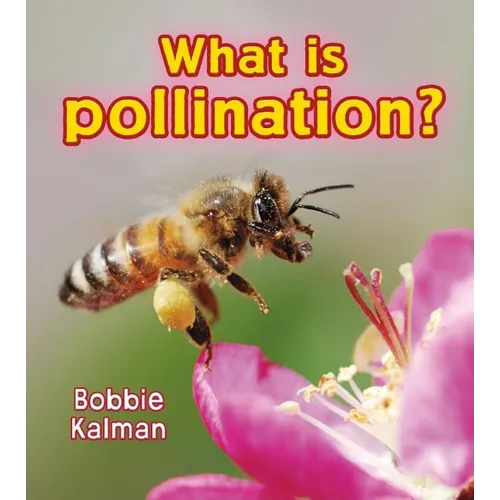What Is Pollination?