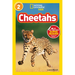 Cheetahs (National Geographic Kids Readers, Level 2)