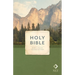 Holy Bible, Economy Outreach Edition, NLT (Softcover, Green)