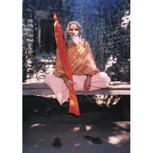 Dandi Swami: The Story of the Guru's Will, Maharishi Mahesh Yogi, the Shankaracharyas of Jyotir Math, & Meetings with Dandi Swami N