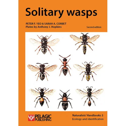 Solitary wasps