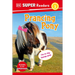 DK Super Readers Level 2 Prancing Pony