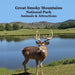 Great Smoky Mountains National Park Kids Book: Great Way for Kids to See the Animals and Attractions in Smoky Mountains National Park