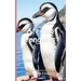It's Time to Learn about African Penguins