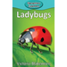 Ladybugs