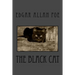 The Black Cat