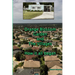 Orange Blossom Gardens and The Villages - How it all began.