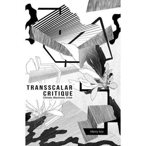 Transscalar Critique: Climate, Blackness, Crisis