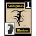 Ambiguous Illusions
