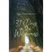 31 Days In the Wilderness: "A Journey Through the Proverbs"