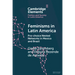 Feminisms in Latin America