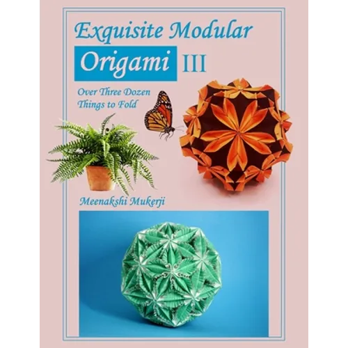 Exquisite Modular Origami III