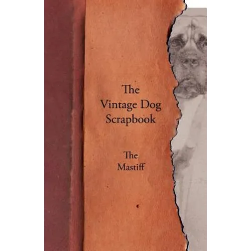 The Vintage Dog Scrapbook - The Mastiff