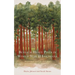 Beneath Heavy Pines in World War II Louisiana: The Japanese American Internment Experience at Camp Livingston