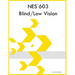 NES 603 Blind/Low Vision