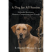 A Dog for All Seasons