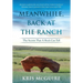 Meanwhile, Back at the Ranch: The Secrets That A Rock Can Tell